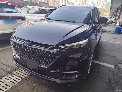 2022 Changan Oshan X7 PLUS 1.5T Blue Whale Edition Auto Executive, фото 1, лот 10409465