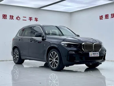 2020 BMW X5 (Import) xDrive30i M Sport Package, фото 3, лот 10386596