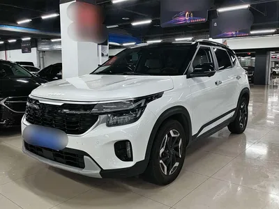 2023 Kia Seltos 1.4T DCT Premium Luxury Edition, фото 1, лот 10337195