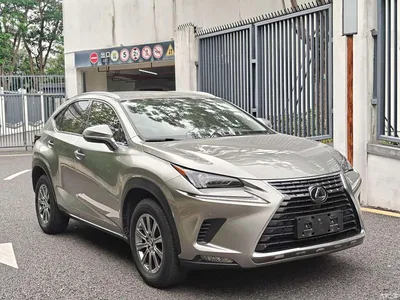 2018 Lexus NX Model 200 AWD Fengshang Edition China V, фото 3, лот 10313223