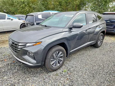 2023 HYUNDAI TUCSON BLUE, фото 1, лот 11177452
