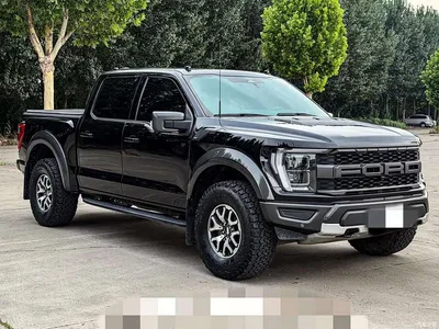 2023 Ford F-150 Raptor 3.5T Raptor, фото 3, лот 10296827