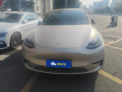 2024 Tesla Model Y Rear-Wheel Drive Version, фото 2, лот 10768517
