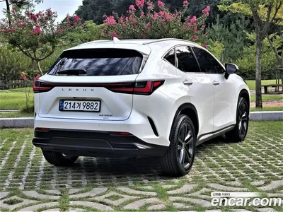 2025 Lexus NX 350h Premium, фото 2, лот 10780623