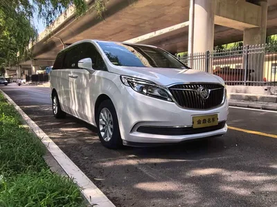 2017 Buick GL8 ES 28T Comfort Type China V, фото 3, лот 10251752