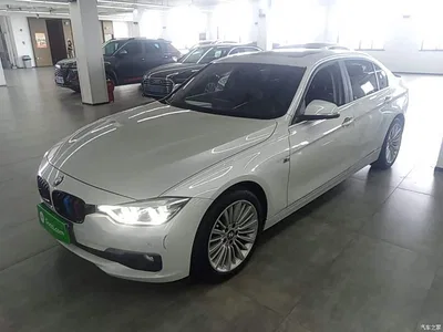 2018 BMW 3 Series 320Li Fashion Style, фото 2, лот 10457511