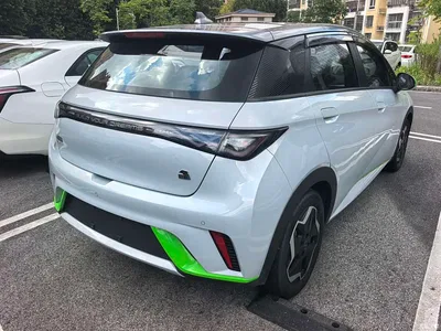2021 BYD Dolphin Model 405km Fashion Edition, фото 4, лот 10254243