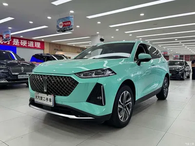2021 WEY Macchiato DHT 1.5L DHT Master Edition, фото 1, лот 10957886