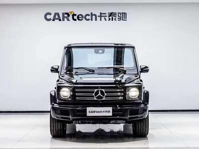 2019 Mercedes-Benz G-Class G 500, фото 2, лот 10247966