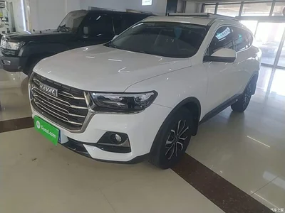 2021 Haval H6 National Trend Edition 1.5T Automatic Urban Edition, фото 2, лот 10285572