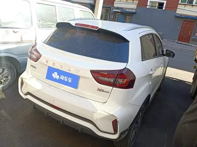 2021 Geely Vision X3 PRO 1.5L Manual Elite, фото 3, лот 10309839
