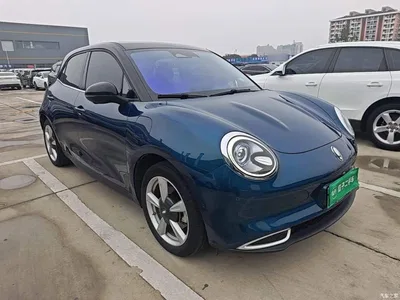 2021 Ora Good Cat 400km Standard Range Athena Edition (NCM), фото 4, лот 11018349