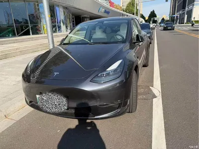2024 Tesla Model Y Long Range AWD, фото 1, лот 10413806