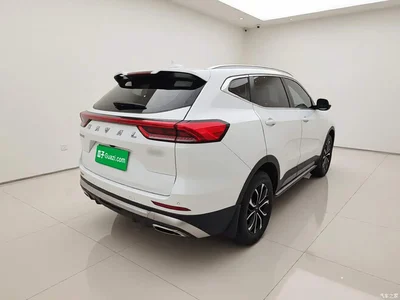 2023 Haval H6 National Trend Edition 1.5T Automatic Urban, фото 4, лот 10481263