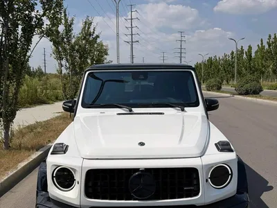 2019 Mercedes-Benz G-Class, фото 2, лот 10383147