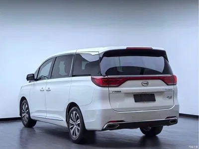 2018 GAC Trumpchi Trumpchi M8 320T Flagship Edition, фото 4, лот 10393690