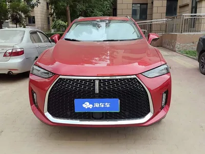 2018 WEY P8 2.0T Flagship Model, фото 2, лот 11152191
