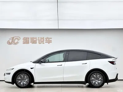2025 Tesla Model Y L, фото 4, лот 10629929