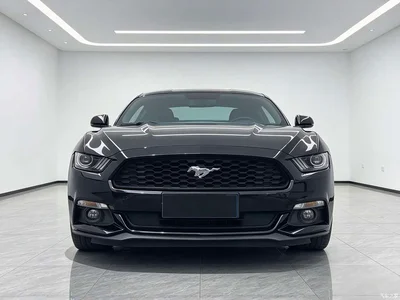 2017 Ford Mustang 2.3T Performance Edition, фото 2, лот 10296789