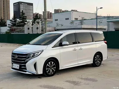2021 GAC Trumpchi Trumpchi M8 Leading Show Series 390T Premium Edition, фото 1, лот 10419875