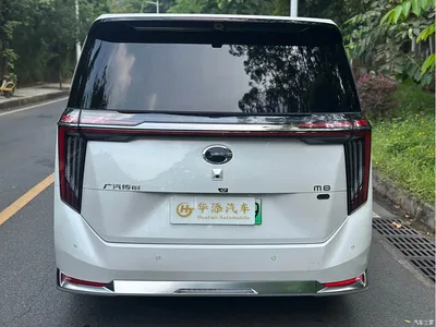 2026 GAC Trumpchi Trumpchi Xiangwang M8 QianKun Max Luxury Cabin, фото 3, лот 11095537