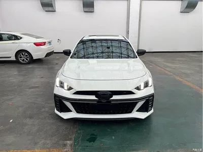 2023 GAC Trumpchi Trumpchi Emkoo 400T Automatic R PRO, фото 2, лот 10419409