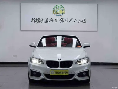 2019 BMW 2 Series (Import) 225i Convertible Coupe Exclusive M Sport Package, фото 4, лот 10404800
