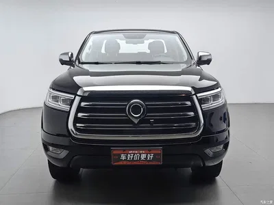 2019 Great Wall Pao 2.0T Automatic Gasoline 4WD Sport GW4C20B, фото 3, лот 10364261