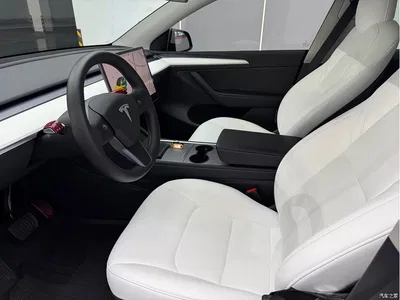 2021 Tesla Model Y Standard Range Rear-Wheel Drive, фото 4, лот 10383323