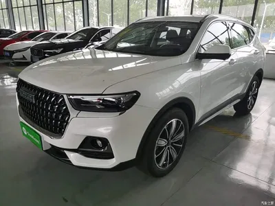 2023 Haval H6 National Trend Edition 1.5T Automatic Champion, фото 1, лот 10285630