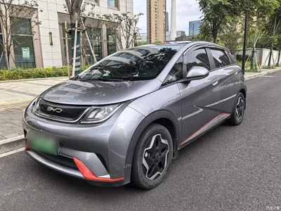 2021 BYD Dolphin Model 405km Fashion Edition, фото 1, лот 10264394