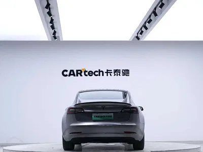 2020 Tesla Model 3 Standard Range Rear-Wheel Drive Upgrade, фото 4, лот 11423001