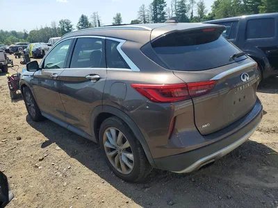 2019 INFINITI QX50 LUXE, фото 2, лот 10884584