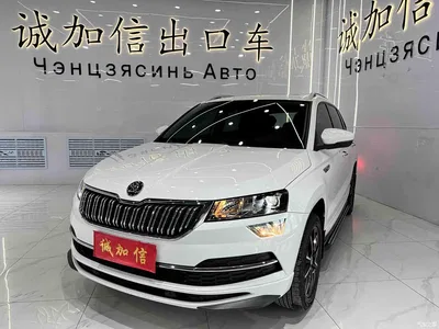 2022 Škoda Karoq TSI280 Luxury Edition, фото 1, лот 10349382
