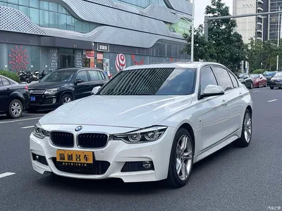 2018 BMW 3 Series 320Li Leading M Sport Package, фото 1, лот 11191522
