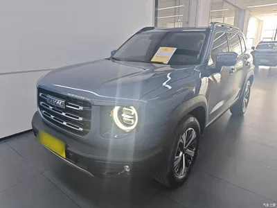 2021 Haval Big Dog 1.5T DCT 2WD Labrador Edition, фото 2, лот 10387614