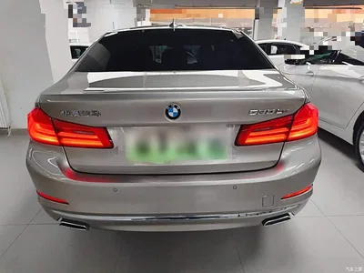 2020 BMW 5 Series New Energy 530Le Range Upgrade Luxury Package, фото 4, лот 10474070