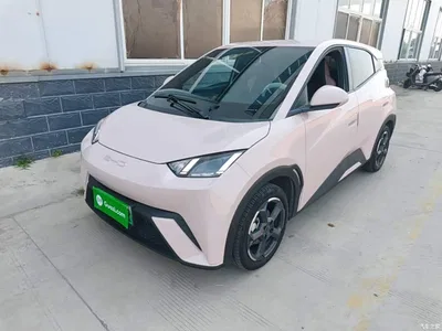 2024 BYD Seagull Glory Edition 305km Freedom Edition, фото 1, лот 10262581