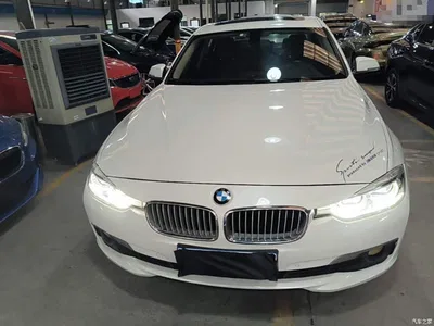 2018 BMW 3 Series 320Li Fashion Style, фото 3, лот 10457514