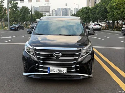 2021 GAC Trumpchi Trumpchi M8 Leading Show Series 390T Premium Edition, фото 2, лот 10419001