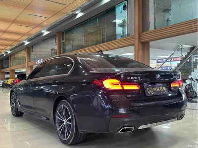 2023 BMW 5 Series 530Li Leading M Sport Package, фото 4, лот 11174823