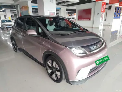 2021 BYD Dolphin 401km Knight Edition, фото 4, лот 10264412