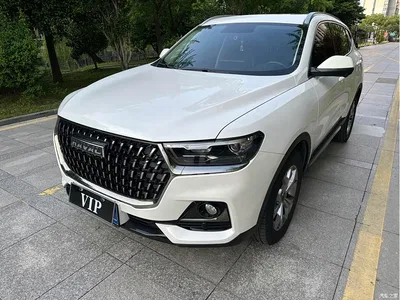 2021 Haval H6 National Trend Edition 1.5GDIT Automatic Champion Edition, фото 2, лот 10281847