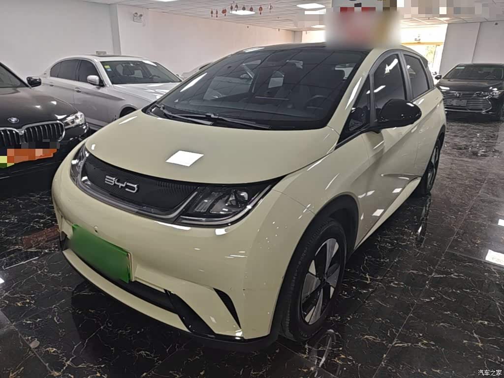 2023 BYD Dolphin 420km Fashion Edition, фото 1, лот 11224641