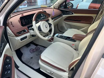 2021 Ora Good Cat 400km Standard Range Athena Edition (LFP), фото 4, лот 10480938