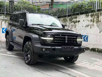2021 Tank 300 Off-road Version 2.0T Conqueror, фото 3, лот 10344794