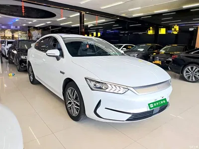 2023 BYD Qin PLUS Champion Edition EV 420KM Advanced Type, фото 4, лот 10362894