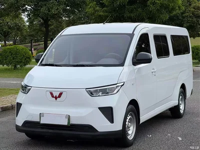 2024 Wuling Motors Wuling Yangguang 300KM Comfort Bus Version 75kW, фото 1, лот 11148533