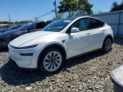 2026 TESLA MODEL Y, фото 1, лот 10973693