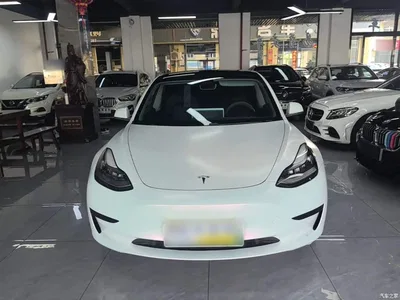 2020 Tesla Model 3 Facelift Standard Range RWD Upgrade, фото 3, лот 10302296